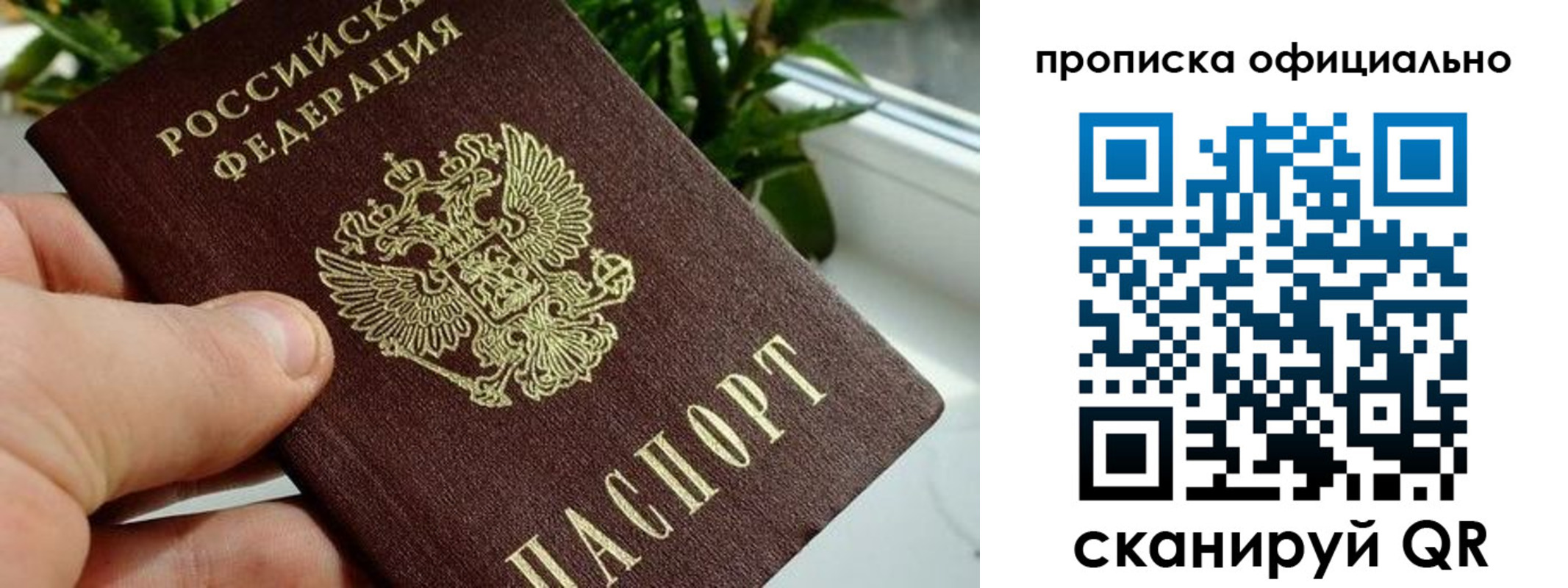 прописка поиск в Тынде